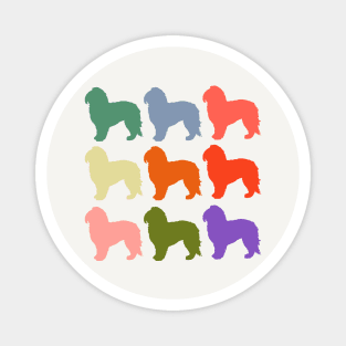 Maltese dogs in Rainbow Colors Magnet